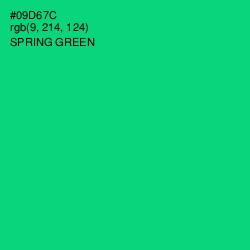 #09D67C - Spring Green Color Image