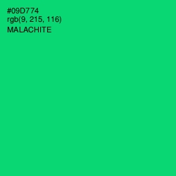 #09D774 - Malachite Color Image