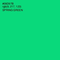 #09D97B - Spring Green Color Image