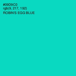 #09D9C0 - Robin's Egg Blue Color Image