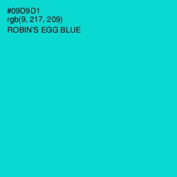 #09D9D1 - Robin's Egg Blue Color Image