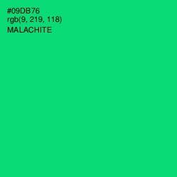 #09DB76 - Malachite Color Image