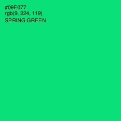 #09E077 - Spring Green Color Image