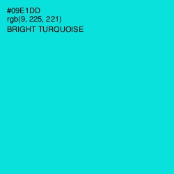 #09E1DD - Bright Turquoise Color Image