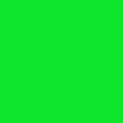 #09E629 - Green Color Image