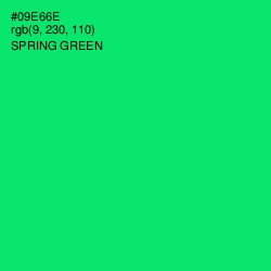 #09E66E - Spring Green Color Image