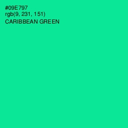 #09E797 - Caribbean Green Color Image