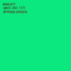 #09E87F - Spring Green Color Image