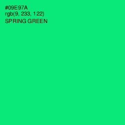 #09E97A - Spring Green Color Image