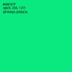 #09E97F - Spring Green Color Image