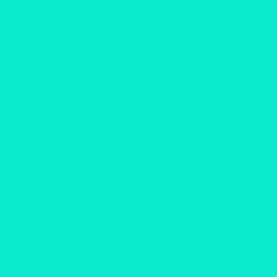 #09E9CD - Bright Turquoise Color Image