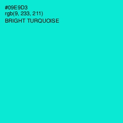 #09E9D3 - Bright Turquoise Color Image