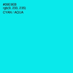 #09E9EB - Cyan / Aqua Color Image