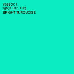 #09EDC1 - Bright Turquoise Color Image
