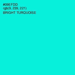 #09EFDD - Bright Turquoise Color Image