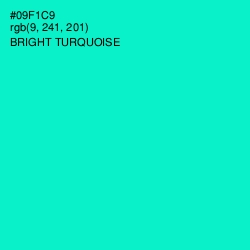 #09F1C9 - Bright Turquoise Color Image