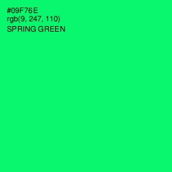#09F76E - Spring Green Color Image