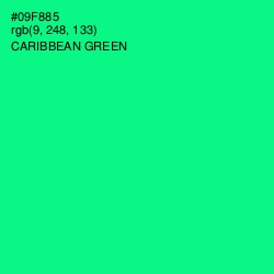 #09F885 - Caribbean Green Color Image