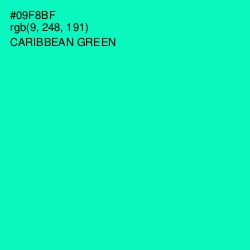 #09F8BF - Caribbean Green Color Image