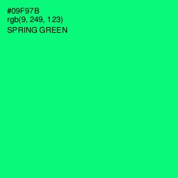 #09F97B - Spring Green Color Image