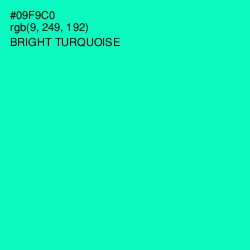 #09F9C0 - Bright Turquoise Color Image