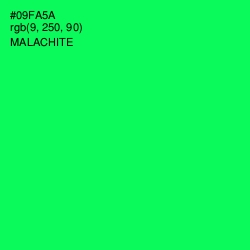 #09FA5A - Malachite Color Image