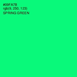 #09FA7B - Spring Green Color Image