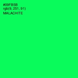 #09FB5B - Malachite Color Image