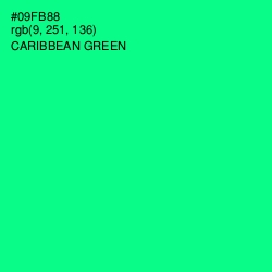 #09FB88 - Caribbean Green Color Image