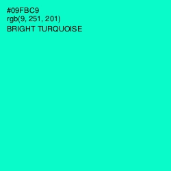 #09FBC9 - Bright Turquoise Color Image