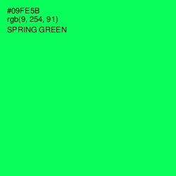 #09FE5B - Spring Green Color Image