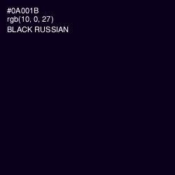 #0A001B - Black Russian Color Image