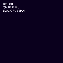 #0A001E - Black Russian Color Image