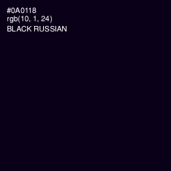 #0A0118 - Black Russian Color Image