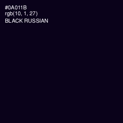 #0A011B - Black Russian Color Image