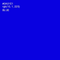 #0A01E1 - Blue Color Image