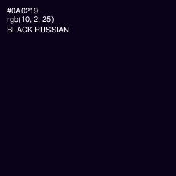 #0A0219 - Black Russian Color Image