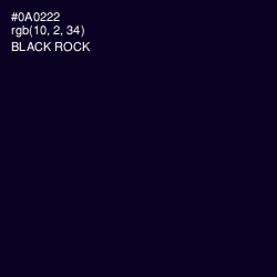 #0A0222 - Black Rock Color Image