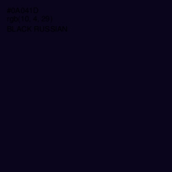 #0A041D - Black Russian Color Image