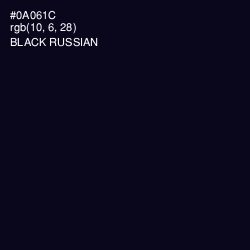 #0A061C - Black Russian Color Image