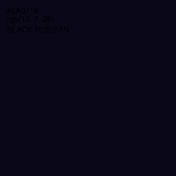 #0A0719 - Black Russian Color Image