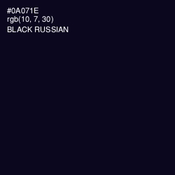 #0A071E - Black Russian Color Image