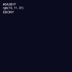 #0A0B1F - Ebony Color Image