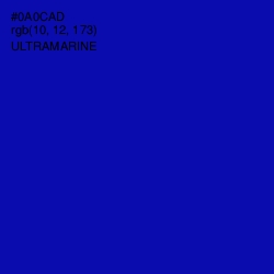 #0A0CAD - Ultramarine Color Image