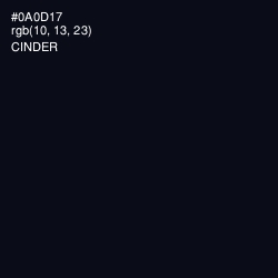 #0A0D17 - Cinder Color Image