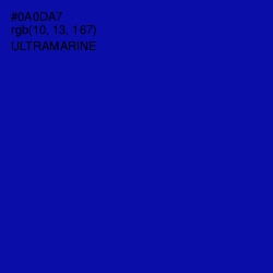 #0A0DA7 - Ultramarine Color Image