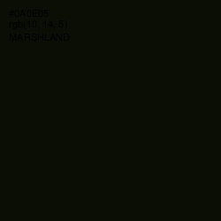 #0A0E05 - Marshland Color Image