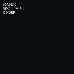 #0A0E10 - Cinder Color Image