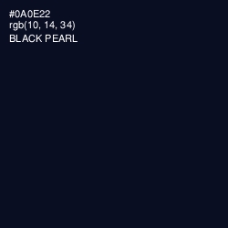 #0A0E22 - Black Pearl Color Image