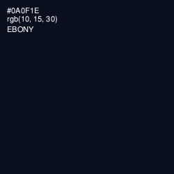 #0A0F1E - Ebony Color Image